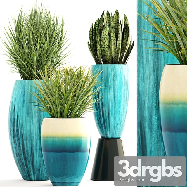 Collection of plants. pot, flowerpot, street decor, landscape design, bush, grass, sansevieria, turquoise, interior, decorative, chlorophytum - thumbnail 1