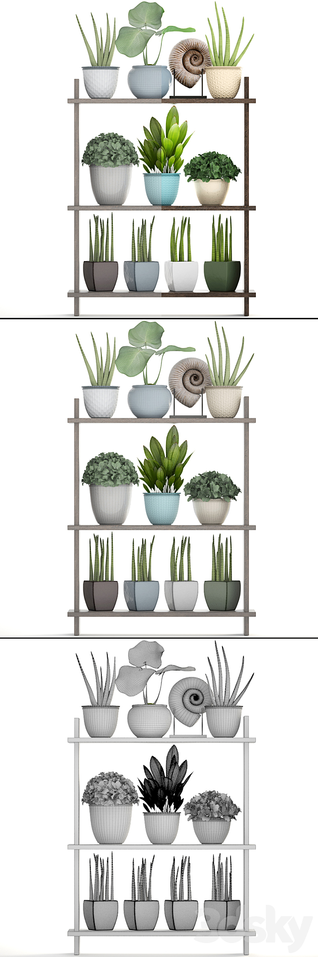 Collection of plants. Rack with decor. pot. flower. bush. ammonite. vase. shelf with flowers 3DSMax File - thumbnail 3