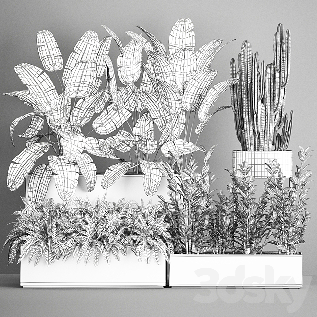 Collection of potted plants with Strelitzia. fern. cactus. cereus. Zamiokulkas. 1062. 3DSMax File - thumbnail 7