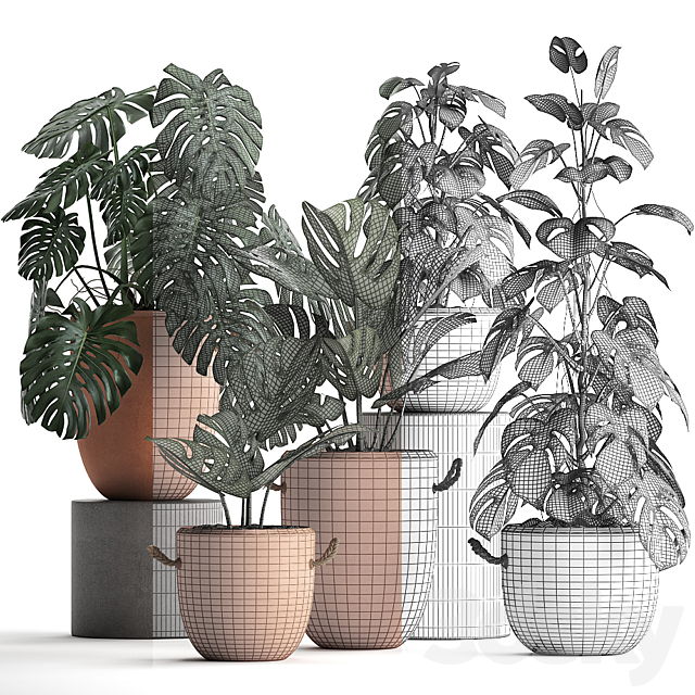 Collection of small bushes of plants in clay pots with handles with Monstera flower clinker. Set 423. 3DS Max Model - thumbnail 4