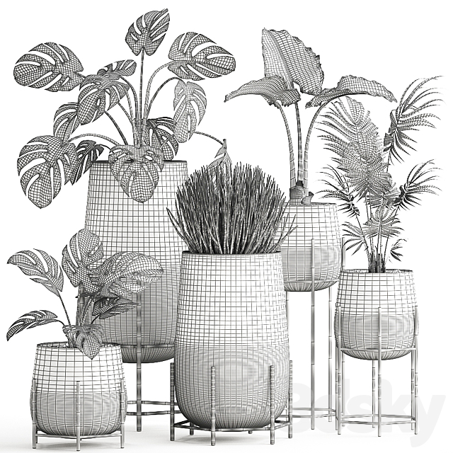 Collection of small indoor plants in modern pots on legs with Monstera Palm hovea alokasia Sansevieria. Set 547. 3DS Max Model - thumbnail 5