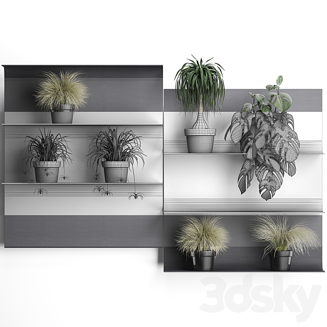 Collection of small plants black metal shelf with flowers in pots with monstera. dracaena. Chlorophytum. grass grass. Set of 50. 3DSMax File - thumbnail 3