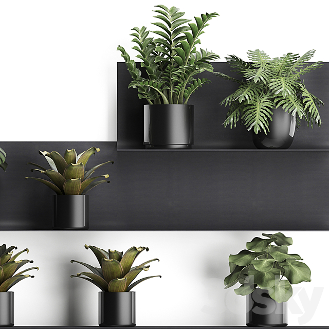 Collection of small plants black metal shelf with flowers in pots with monstera Zamiokulkas Chlorophytum Philodendron bromelia loft. Set 49. 3DS Max Model - thumbnail 2