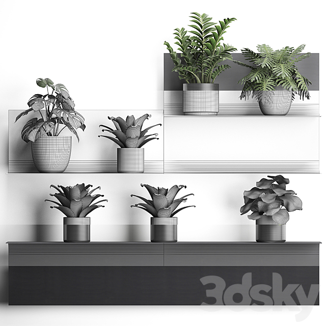 Collection of small plants black metal shelf with flowers in pots with monstera Zamiokulkas Chlorophytum Philodendron bromelia loft. Set 49. 3DS Max Model - thumbnail 3