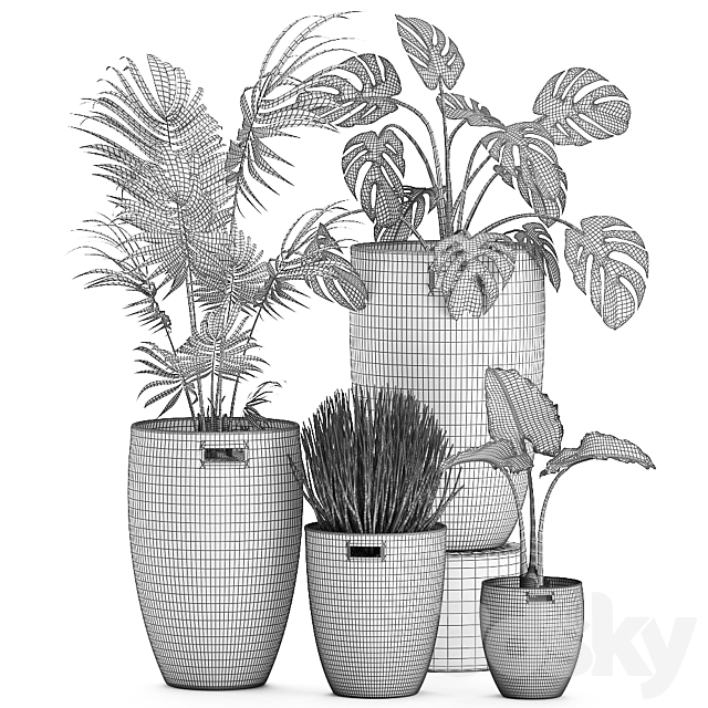 Collection of small plants in decorative baskets pots with Monstera. Howea . alokasia. palm. Set 570. 3DSMax File - thumbnail 5