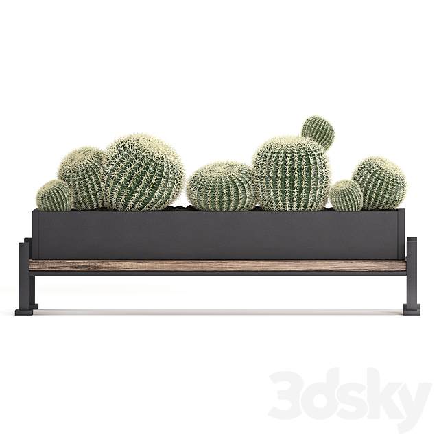 Collection of small plants in potted flower beds on legs with Fan palm. Cactus. Prickly pear. Carnegie. Barrel cactus. Set 462. 3DSMax File - thumbnail 2