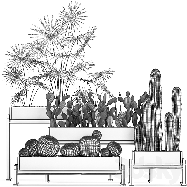 Collection of small plants in potted flower beds on legs with Fan palm. Cactus. Prickly pear. Carnegie. Barrel cactus. Set 462. 3DSMax File - thumbnail 5