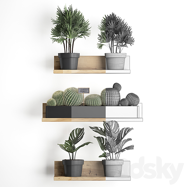 Collection of small plants vertical gardening wooden shelf with flowers in pots with Cactus. monstera. Raphis palm. Set 51. 3DSMax File - thumbnail 3