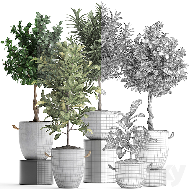 Collection of small trees in concrete pots with handles with Lemon tree croton oleander citrus.  Set 437. 3ds Max - thumbnail 3