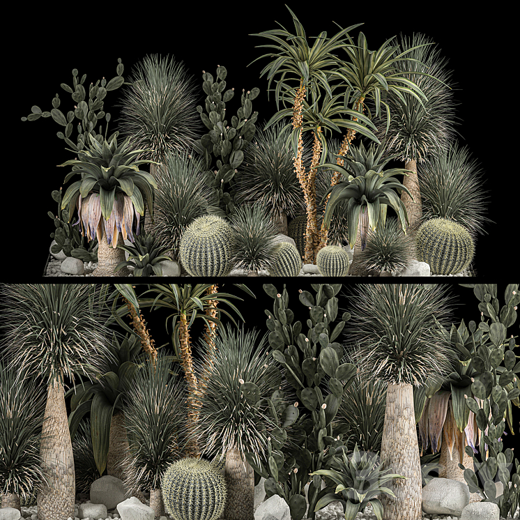 Collection of tropical plants of the desert 1117. cactus yucca prickly pear thickets bushes garden dracaena 3DS Max Model - thumbnail 3