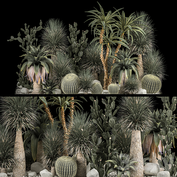 Collection of tropical plants of the desert 1117. cactus yucca prickly pear thickets bushes garden dracaena 3DS Max - thumbnail 1