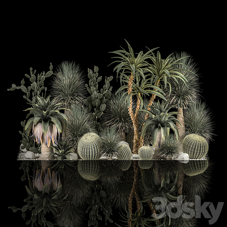 Collection of tropical plants of the desert 1117. cactus yucca prickly pear thickets bushes garden dracaena 3DS Max - thumbnail 2