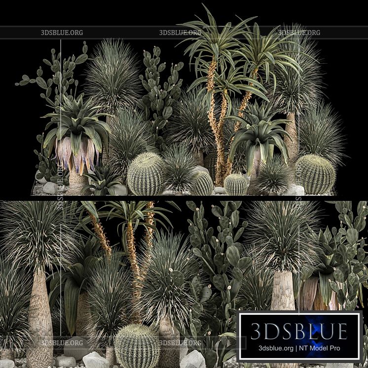 Collection of tropical plants of the desert 1117. cactus yucca prickly pear thickets bushes garden dracaena 3DS Max - thumbnail 3