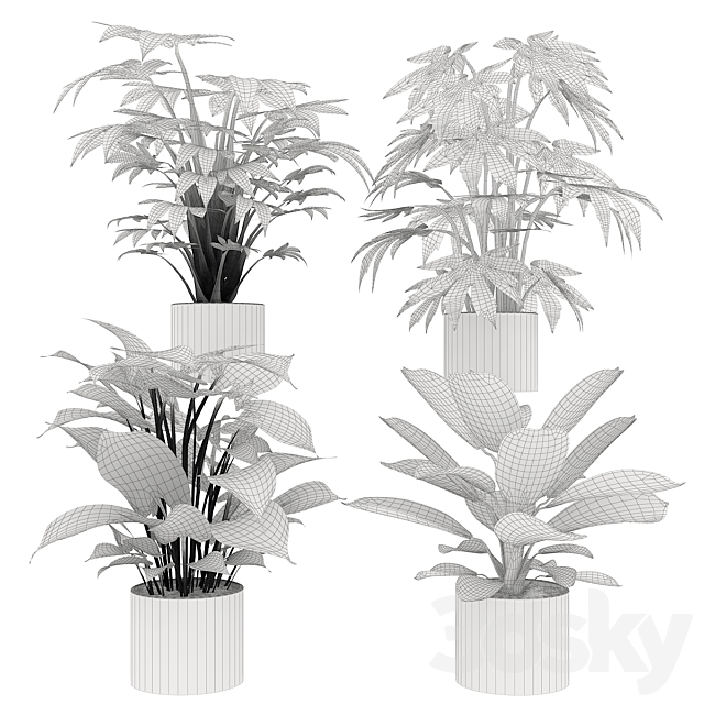 Collection plant vol 2 3DS Max Model - thumbnail 5