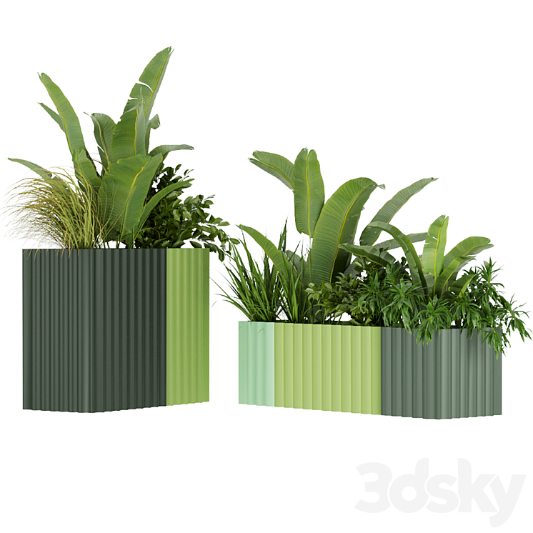 Collection plant vol 318 – banana – indoor – leaf 3DS Max Model - thumbnail 2