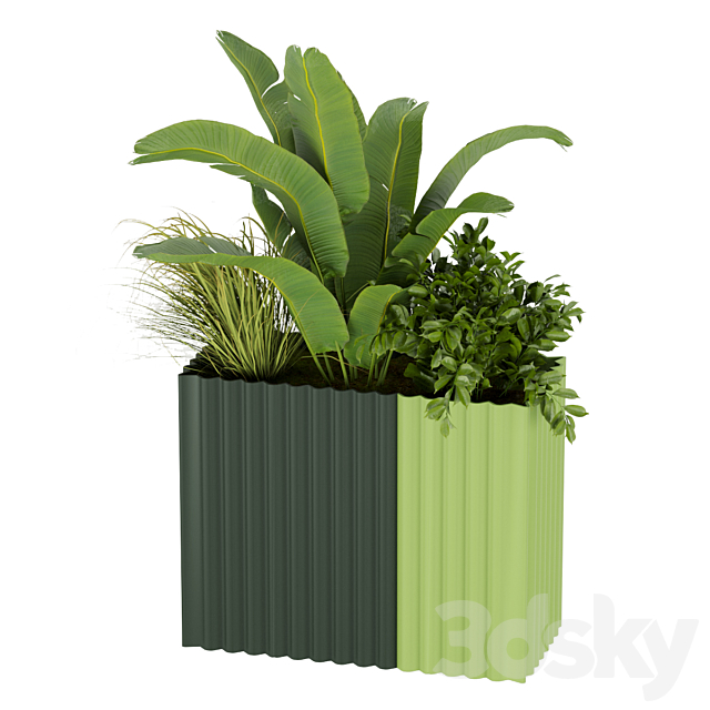 Collection plant vol 318 – banana – indoor – leaf 3DSMax File - thumbnail 3