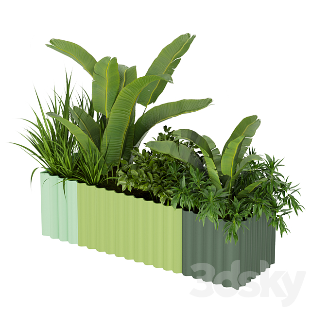 Collection plant vol 318 – banana – indoor – leaf 3DSMax File - thumbnail 4