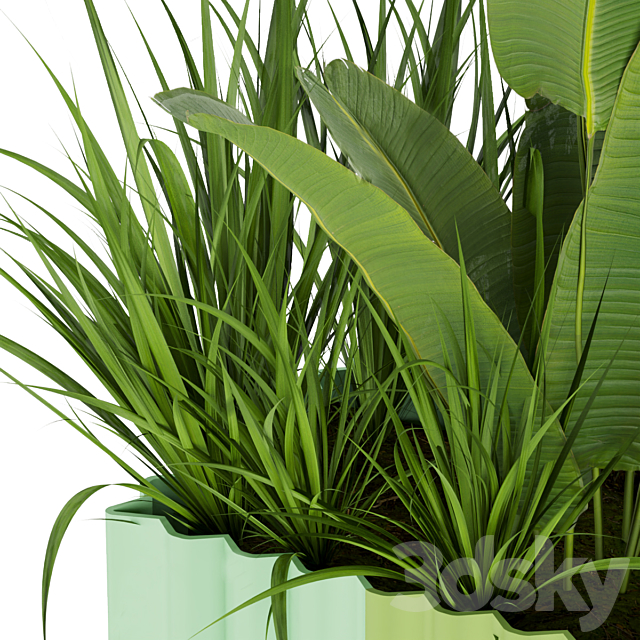 Collection plant vol 318 – banana – indoor – leaf 3DSMax File - thumbnail 6