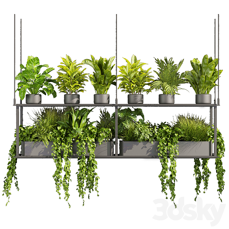 Collection plant vol 439 – hanging – ampelous – palm – – pothos 3DS Max Model - thumbnail 2