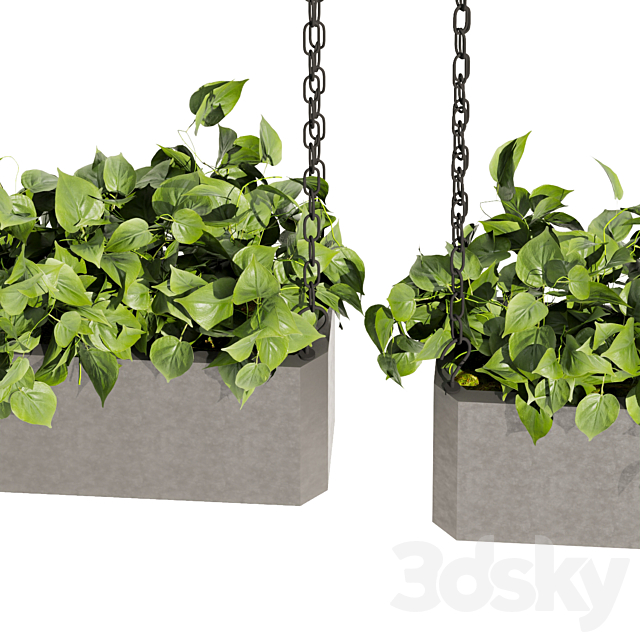 Collection plant vol 469 – ampelous – hanging – pothos 3DS Max Model - thumbnail 3