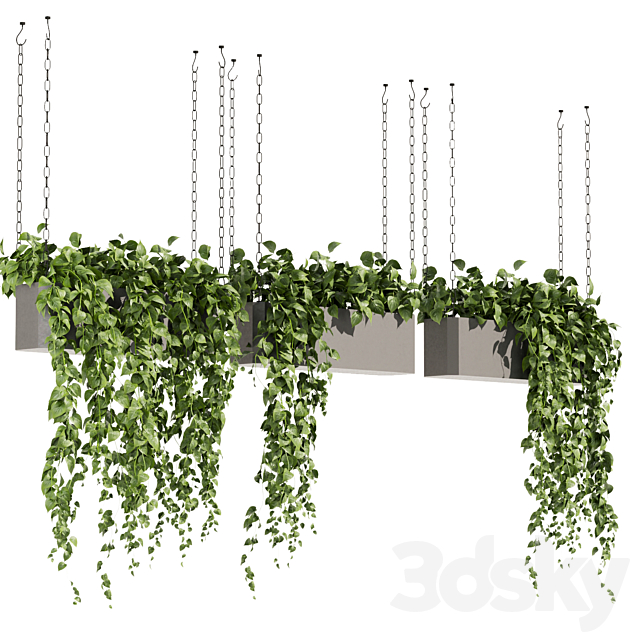 Collection plant vol 469 – ampelous – hanging – pothos 3DS Max Model - thumbnail 4