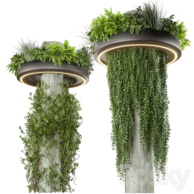 Collection plant vol 532 – bush – ampelous – column – fitowall – ivy 3ds Max - thumbnail 1