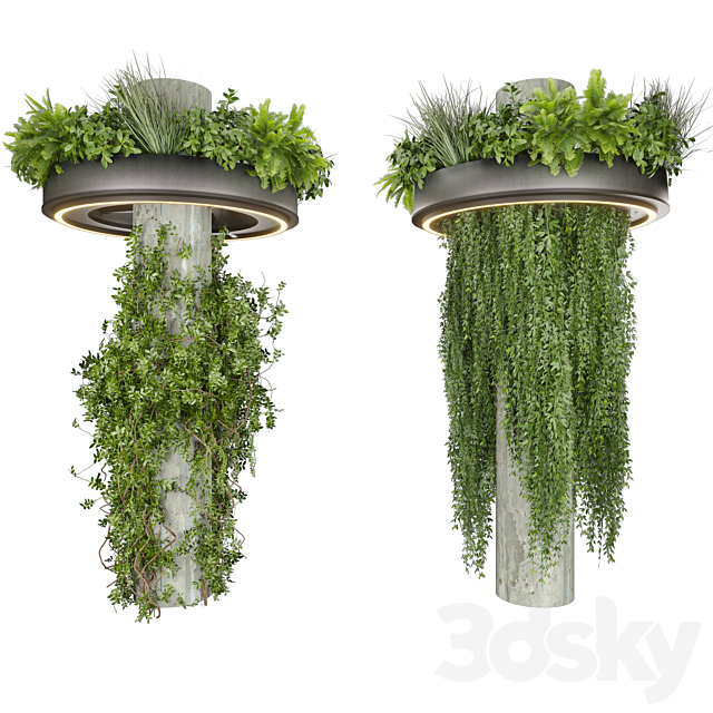 Collection plant vol 532 – bush – ampelous – column – fitowall – ivy 3ds Max - thumbnail 2