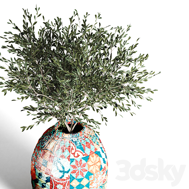 collection plants indoor 1 3DSMax File - thumbnail 6