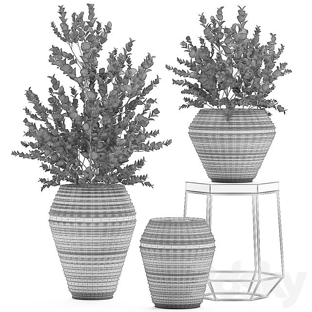 Collection with a small decorative tree Eucalyptus ash bush in a black ethnic pot vase. Set 534. 3DS Max Model - thumbnail 5