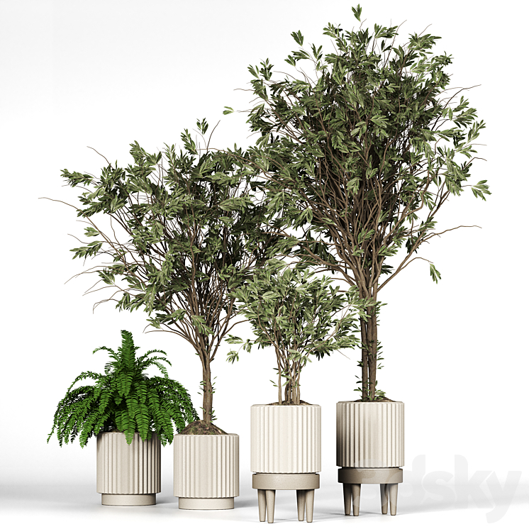 Collection_plant_05 3DS Max Model - thumbnail 1