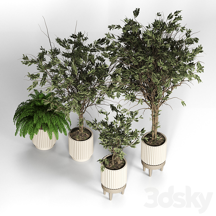 Collection_plant_05 3DS Max Model - thumbnail 2