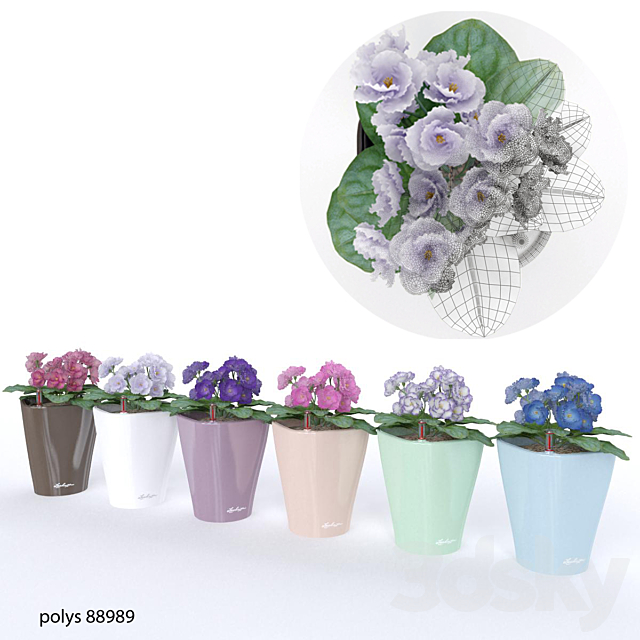 colored violets 3DSMax File - thumbnail 1