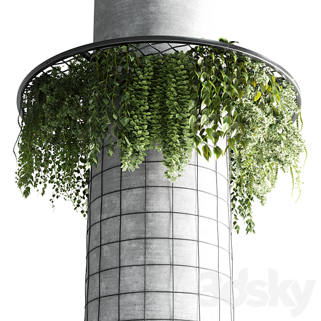 Column plant 01 3DSMax File - thumbnail 3