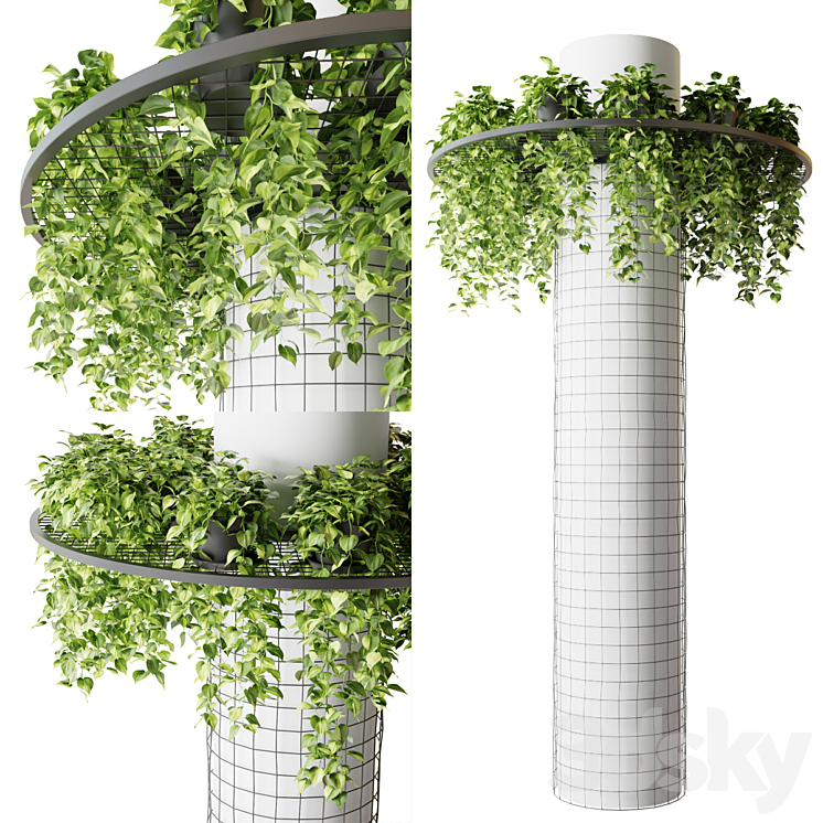 Column with hanging plants (epipremnum) 3DS Max Model - thumbnail 1