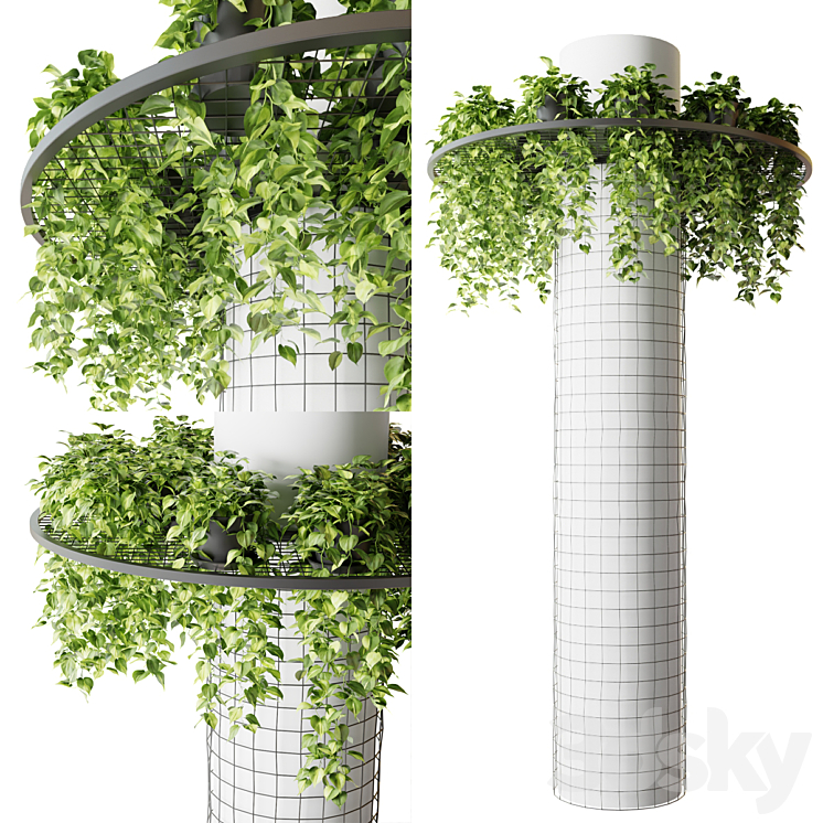 Column with hanging plants (epipremnum) 3DS Max - thumbnail 1