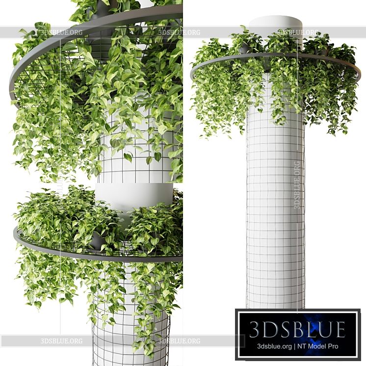 Column with hanging plants (epipremnum) 3DS Max - thumbnail 3