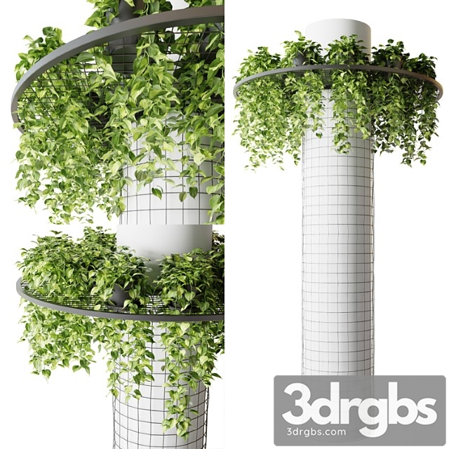 Column with hanging plants (epipremnum) - thumbnail 1