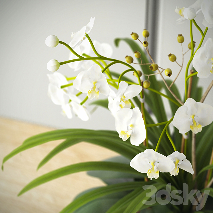 composition with orchids 3DS Max - thumbnail 2