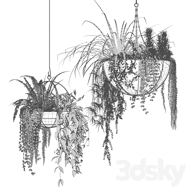 Compositions of ampelous plants in hanging pots # 2 3DS Max Model - thumbnail 3