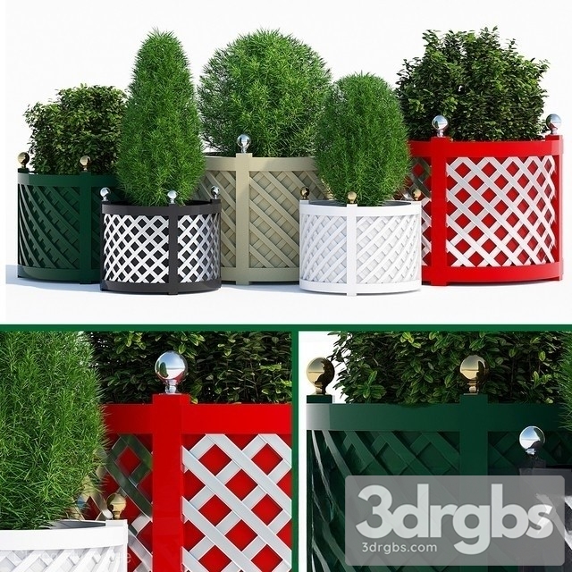 Coniferous Indoor Plant Set 3dsmax Download - thumbnail 1