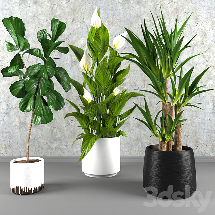 Contemporary houseplant set 3 3DS Max - thumbnail 1