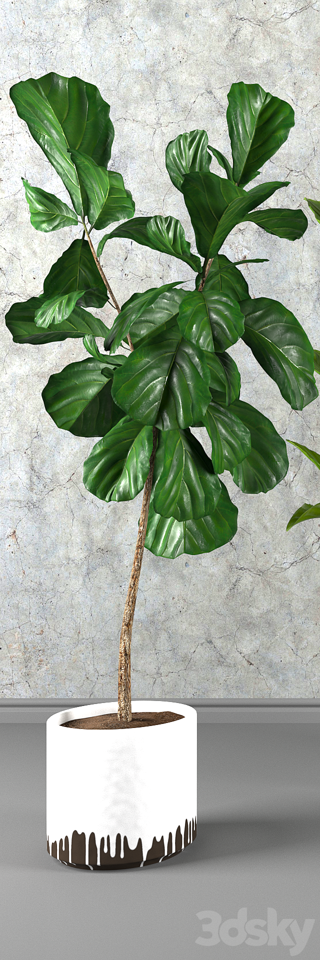 Contemporary houseplant set 3 3DSMax File - thumbnail 2