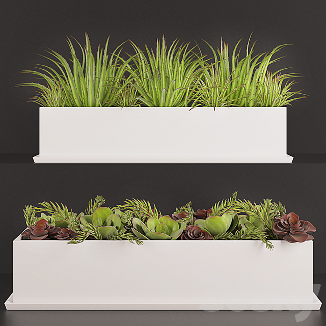 Contemporary houseplants 3DSMax File - thumbnail 1