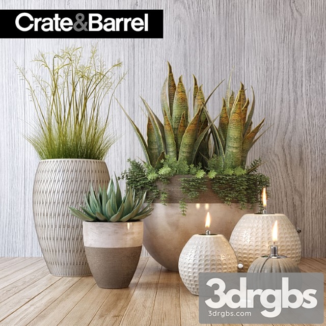 Crate Barrel Plant Set 3dsmax Download - thumbnail 1