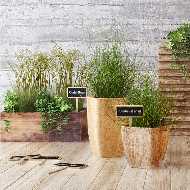 Crate & Barrel planter set 3DSMax File - thumbnail 2