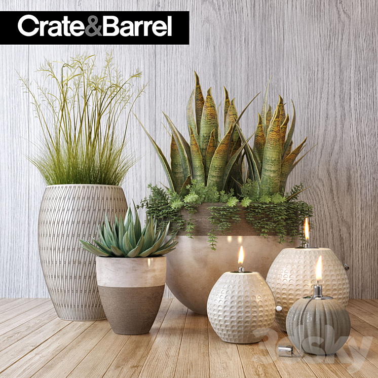 Crate&Barrel plant set 3DS Max - thumbnail 1