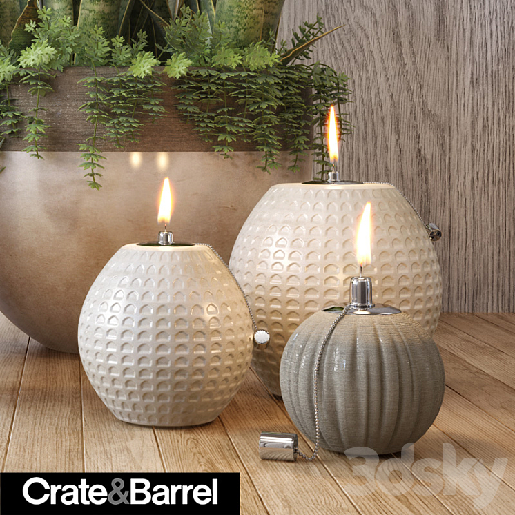 Crate&Barrel plant set 3DS Max - thumbnail 2