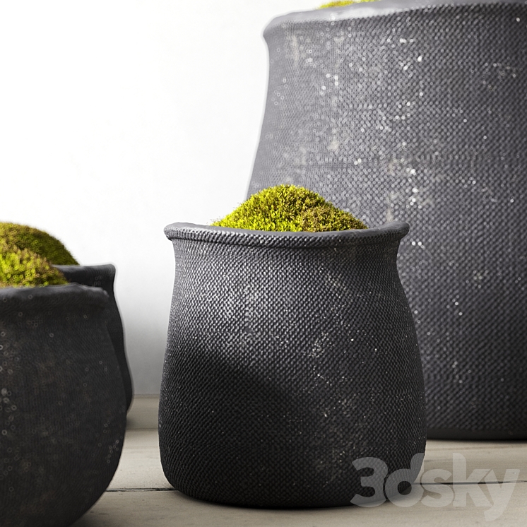 Crosshatch concrete vessel collection with moss 3DS Max - thumbnail 2