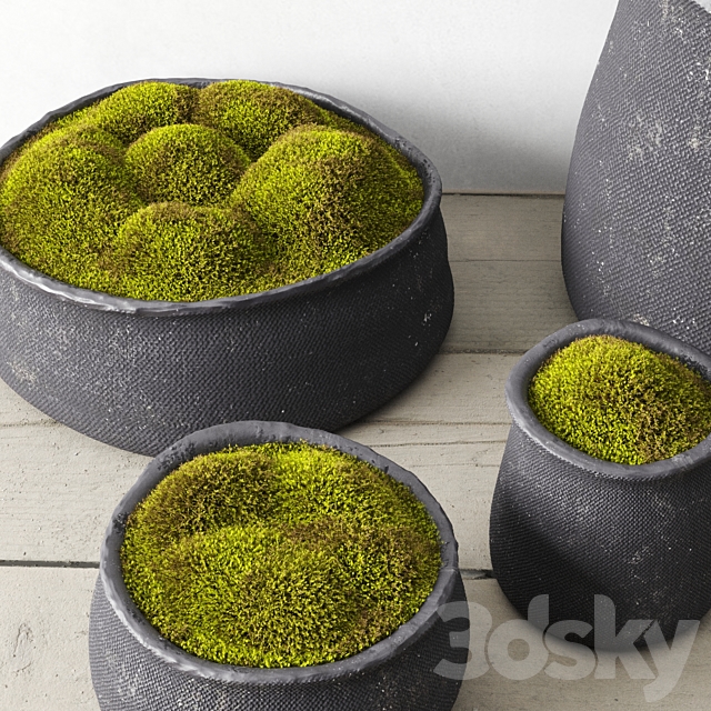 Crosshatch concrete vessel collection with moss 3DSMax File - thumbnail 3