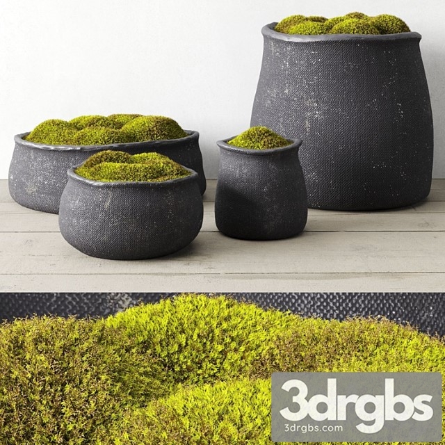 Crosshatch concrete vessel collection with moss - thumbnail 1